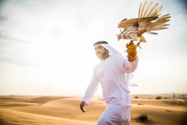 Homem árabe com falcão — Fotografia de Stock