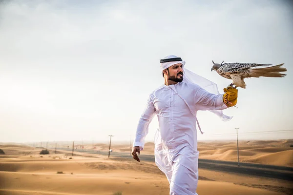 Арабский человек с ястребом — стоковое фото