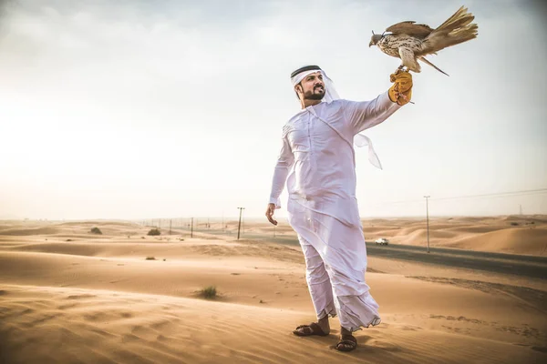 Arabische man met hawk — Stockfoto