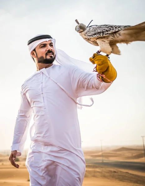 Arabische man met hawk — Stockfoto