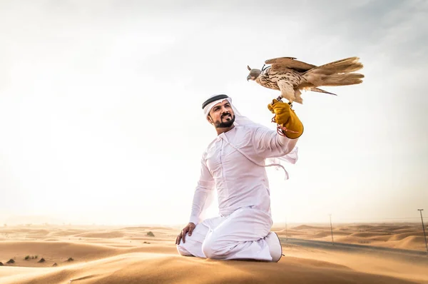 Arabische man met hawk — Stockfoto