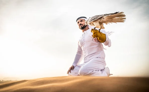 Homem árabe com falcão — Fotografia de Stock