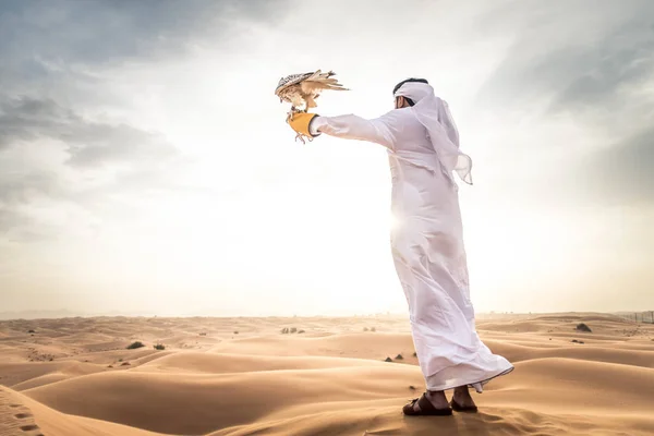 Hombre árabe con halcón —  Fotos de Stock