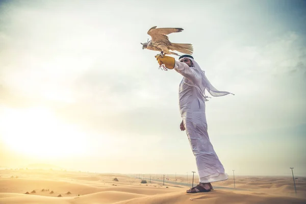Arabian człowiek z hawk — Zdjęcie stockowe