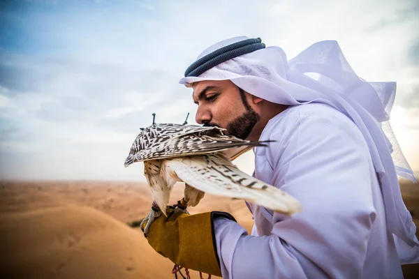 Hombre árabe con halcón — Foto de Stock