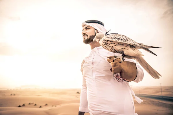 Arabische man met hawk — Stockfoto