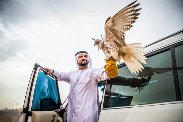 Arabische man met hawk — Stockfoto