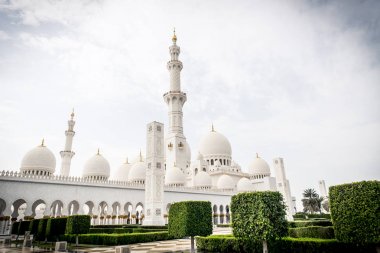 Sheikh zayed Camisi