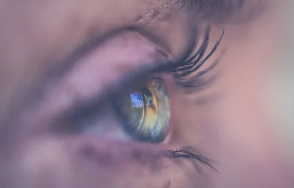 Eye macro. Side view of blue female eyes