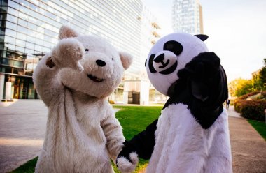 Panda ve ayıcık şehir etrafında eğleniyor