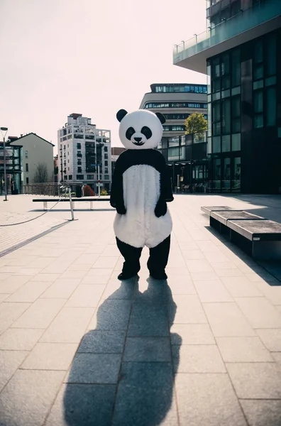 Panda és a szórakozás város mackó — Stock Fotó