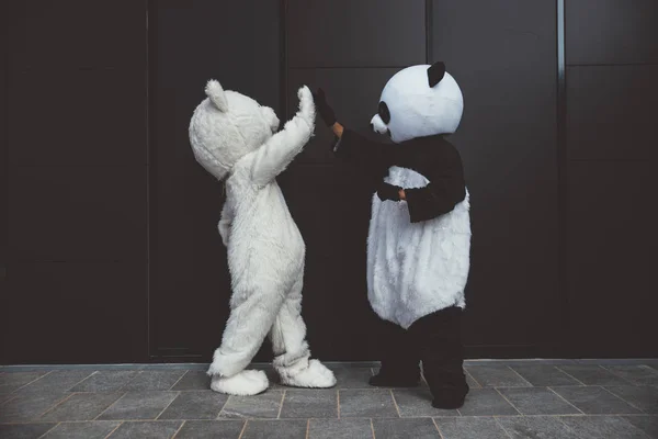 Panda ve ayıcık şehir etrafında eğleniyor — Stok fotoğraf
