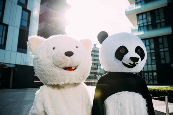 Panda і плюшевий ведмедик веселилися по місту — стокове фото