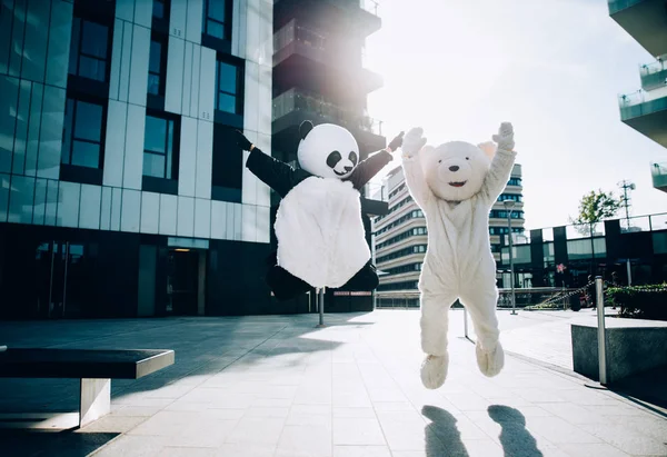 Panda og bamse har det sjovt rundt i byen - Stock-foto