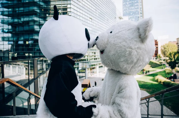 Панда и плюшевый мишка веселятся по городу — стоковое фото