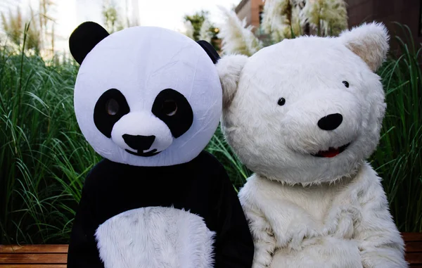 Panda og teddybjørn har det gøy i byen – stockfoto