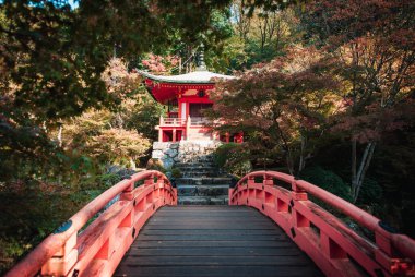 Daigoji Tapınağı Kyoto, Japonya