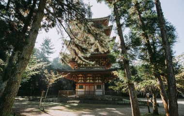 Daigoji Tapınağı Kyoto, Japonya