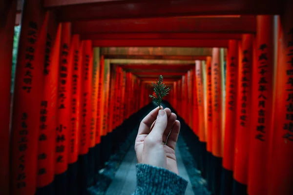 O caminho fushimi-inari em Kyoto — Fotografia de Stock