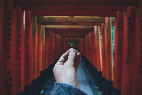 Kyoto fushimi Inari yolundaki — Stok fotoğraf