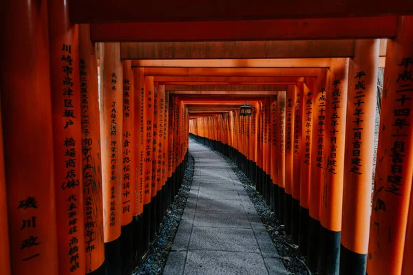 Kyoto fushimi Inari yolundaki — Stok fotoğraf