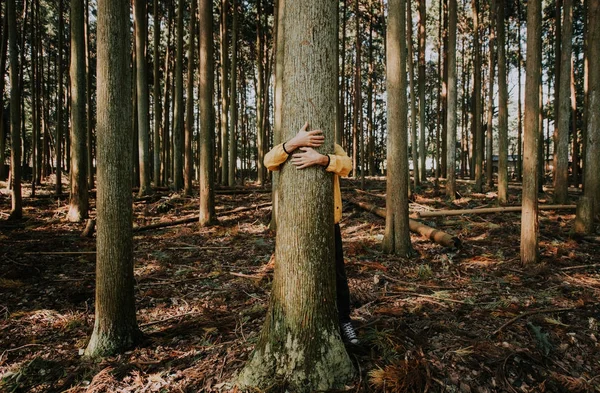 Hombre abrazando corteza de árbol — Foto de Stock