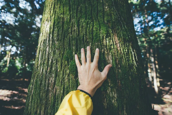 Muž objímání stromová kůra — Stock fotografie
