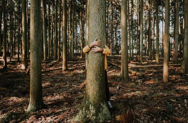 Человек, обнимающий кору дерева — стоковое фото