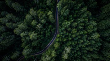 Ormanlık ve yukarıdan sokak