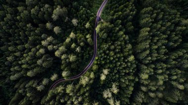 Ormanlık ve yukarıdan sokak