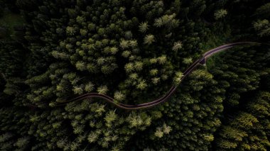 Ormanlık ve yukarıdan sokak