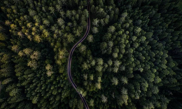 Bosque y calle desde arriba —  Fotos de Stock