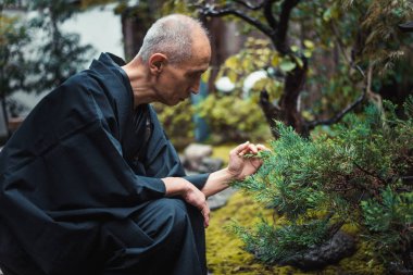 Üst düzey Japon adam onun bahçe bakımı