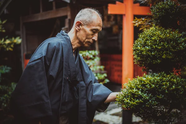 Sénior japonês homem cuidando de seu jardim — Fotografia de Stock