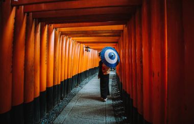 Güzel Japon kadın fushimi Inari shr yürüyüş kıdemli