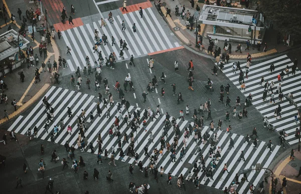 Масса людей, переходящих улицу в Токио — стоковое фото