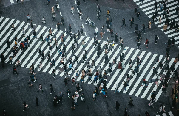 도쿄에서 거리를 건너는 사람들의 질량 — 스톡 사진
