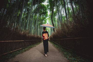 Güzel Japon kadın bambu ormanında yürüyüş kıdemli