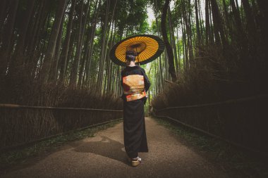 Güzel Japon kadın bambu ormanında yürüyüş kıdemli