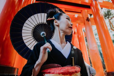 Güzel Japon kadın fushimi Inari shr yürüyüş kıdemli