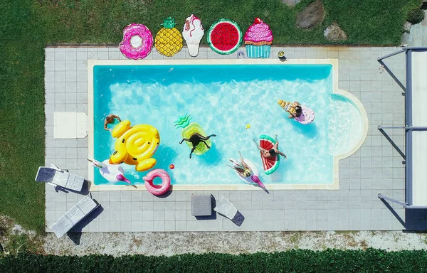 Grupp vänner som har roligt i poolen — Stockfoto