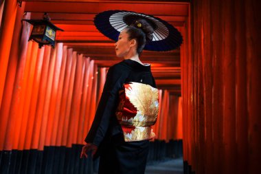 Japon kadına Fushimi Inari Tapınak