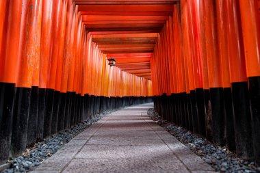 Red Torii of Fushimi Inari Shrine, Kyoto, Japan clipart
