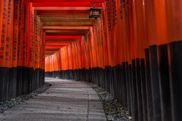 Red Torii of Fushimi Inari Shrine, Kyoto, Japan — Stock Photo, Image