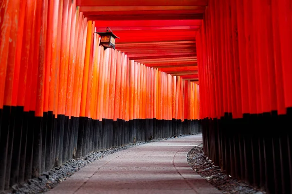 Red Torii of Fushimi Inari Shrine, Kyoto, Japan — Stock Photo, Image