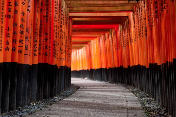 Red Torii of Fushimi Inari Shrine, Kyoto, Japan — Stock Photo, Image