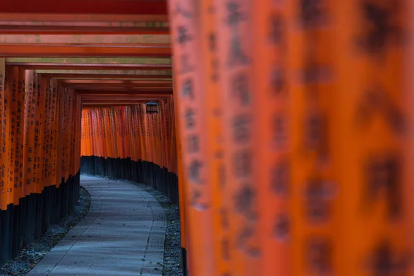 Red Torii of Fushimi Inari Shrine, Kyoto, Japan — Stock Photo, Image