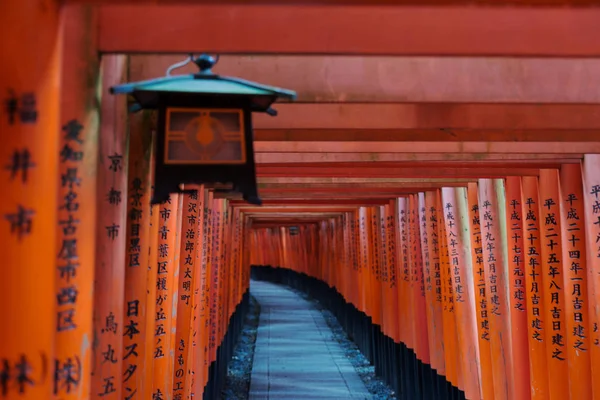 Röda Torii för Fushimi Inari helgedom, Kyoto, Japan — Stockfoto