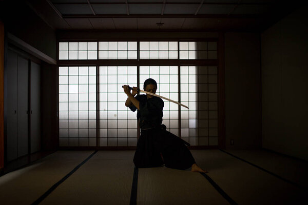 Samurai training in a traditional dojo in Tokyo Royalty Free Stock Photos