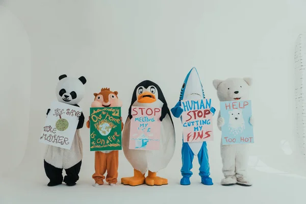 Ursul polar și mascotele de animale personaje cu un mesaj pentru huma — Fotografie, imagine de stoc